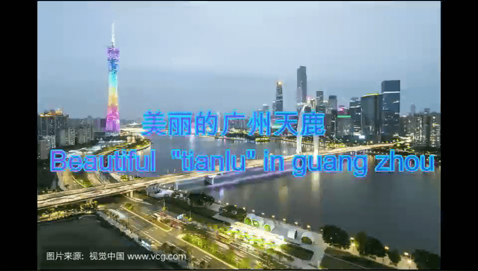 公司視頻